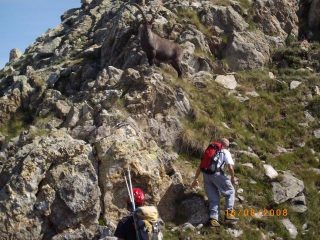 Marco chiede strada al vero padrone della cima