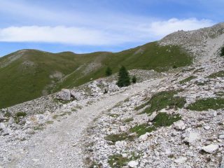 Fantastica discesa verso col des Acles