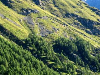 la zona di distacco della frana