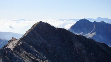 Il Ferra in primo piano