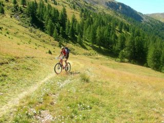 Uscendo dal Gran Bosco