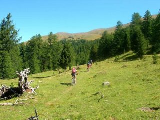 Radura nel Gran Bosco di Salbertrand