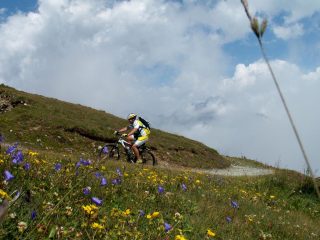 Presso colle Sampeyre tra fiori e Monviso