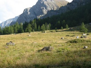 Il prato all'inizio del percorso