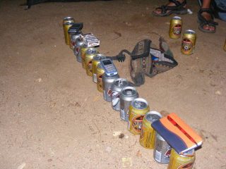 Fiesta!!!