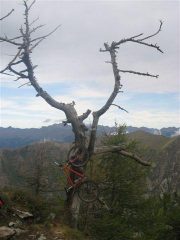 la fine che fanno le bici che non sono full-suspended che percorrono la via del sale