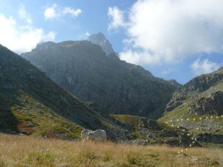 l'ultimo tratto verso la falesia