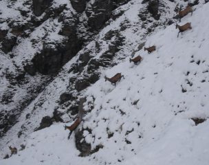 incontri in val Clarea