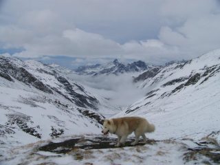 panorama