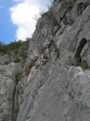 Idefix - 6a