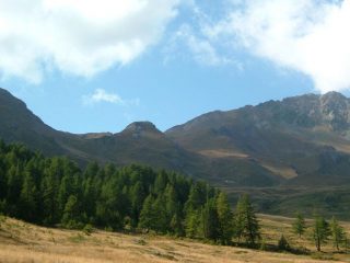 gli ampi e dolci pendii verso il colle