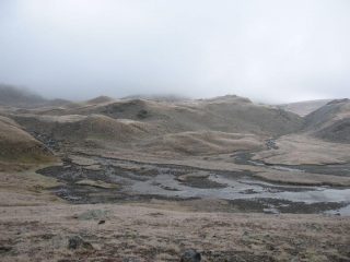 Brina, gelo, nebbia e... freddo