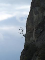 la penultima sosta di 