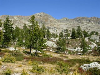 Nel Vallon de Naucettes