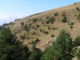 Uno degli eterni traversi