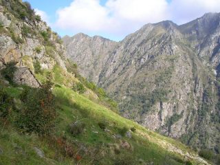 Sopra l'Alpe Vasnera, luogo selvaggio e incontaminato..