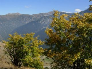 I caldi colori autunnali verso San Bernolfo