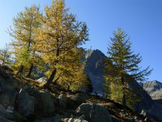 I caldi colori dell'autunno salendo