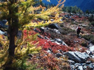 Autunno nel Vallone delle Forciolline