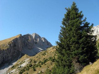 il Pizzo Corzene e la Valle dell'Ombra salendo alla Presolana.
