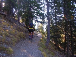 un tratto del sentiero nel vallone del Peas