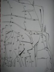 Mappa parete. Calimero all'estrema sx e Formica all'estrema dx