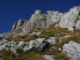 All'uscita