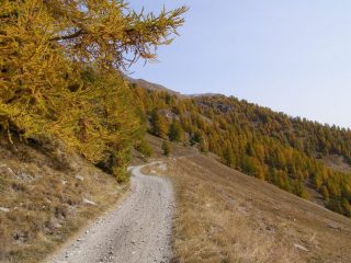 Verso il bivio del Pramand