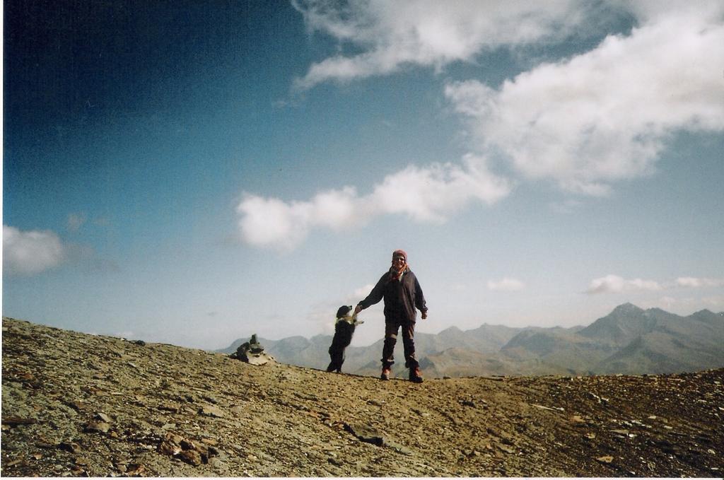 io Jolie al pas de l'ane