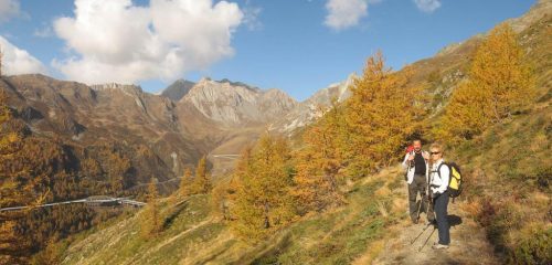 panorama