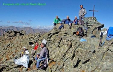 GLI EVER GREEN IN VETTA