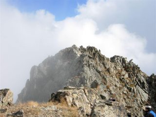 In vetta