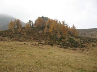 I bei colori dell'Autunno