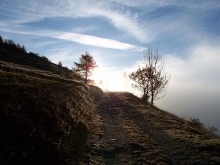 Ritorno alla luce!!
