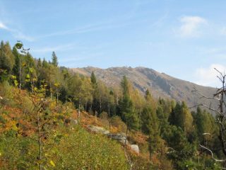 La cima