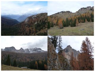 autunno in Vallesinella