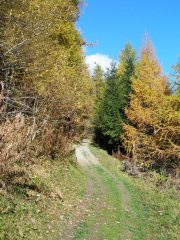 La strada di caccia
