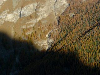 colori