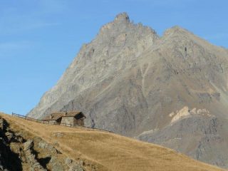 nido d'aquila