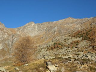 Il Mont Glacier dalla partenza