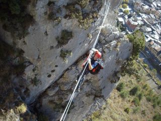 ponte delle scimmie