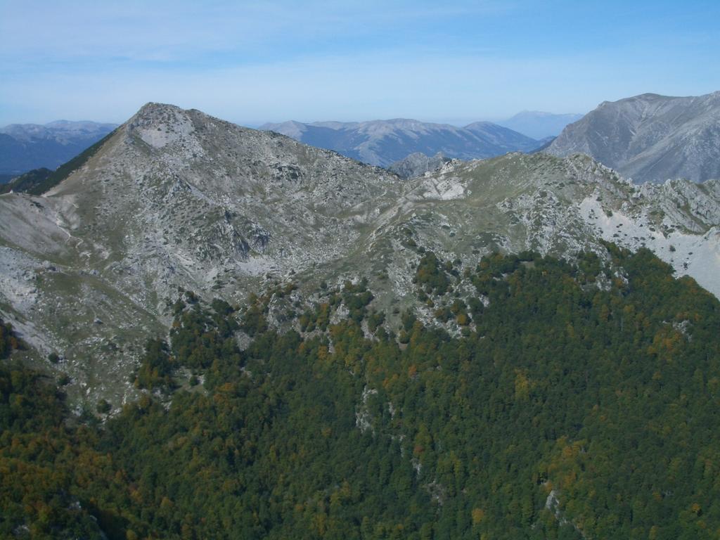 M.Capraro (a sx Forca Resuni)