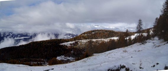 panoramica con tempo discreto