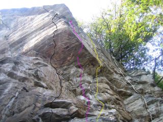 alcune linee