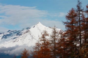  ILROCCIAMELONE
