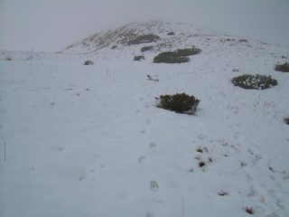 Tratto del sentiero che porta al Beccas