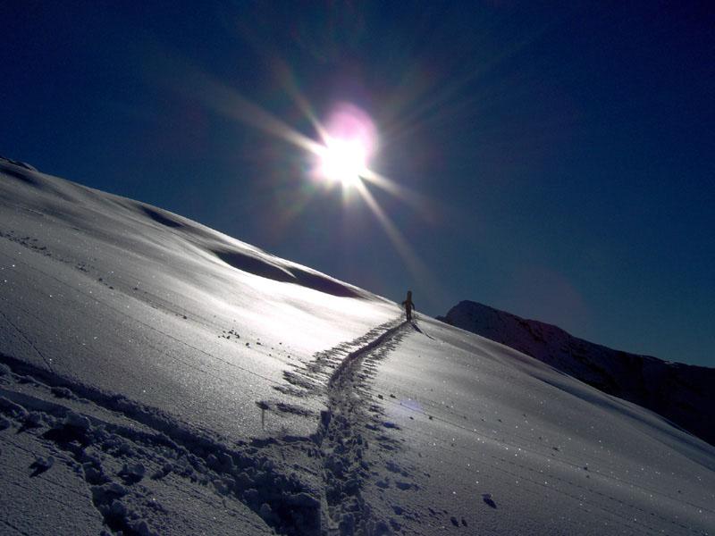 Controluce