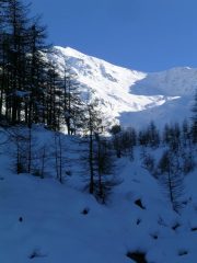 condizioni del 15.11.2008