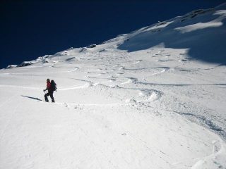 meli ammira i ricami