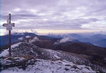 in vetta